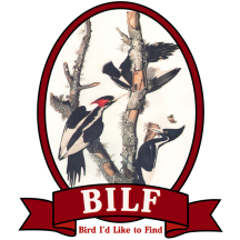 BILF