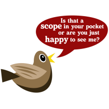 Retired: Scope In Your Pocket?