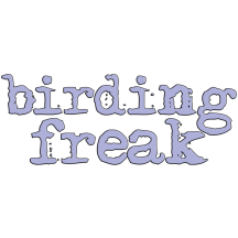 Retired: Birding Freak