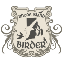 (1) Rhode Island Birder
