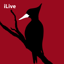 iLive