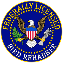 Retired: Federally Licensed Bird Rehabber