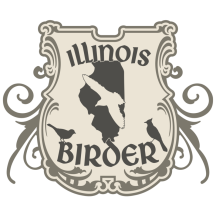 (1) Illinois Birder