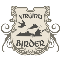 (1) Virginia Birder