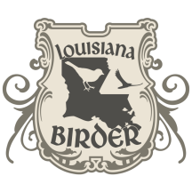 (3) Louisiana Birder
