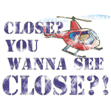 Retired: Himalayan Snowcock