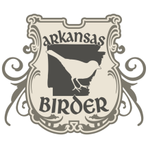 (1) Arkansas Birder