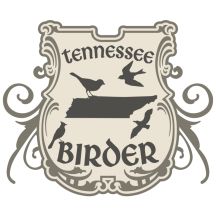 (1) Tennessee Birder