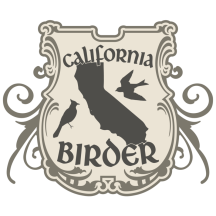 (4) California Birder