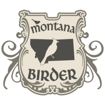 (1) Montana Birder