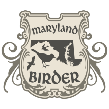 (1) Maryland Birder