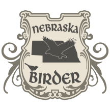 (1) Nebraska Birder