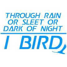 Retired: Through Rain or Sleet... I Bird