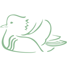 Retired: Stylized Mandarin Duck