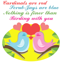 Retired: Birding With You