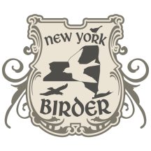 (1) New York Birder