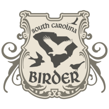 South Carolina Birder