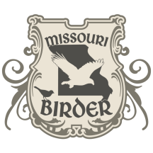 (1) Missouri Birder