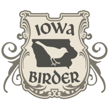 Iowa Birder