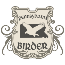 (1) Pennsylvania Birder