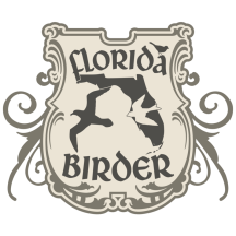 (1) Florida Birder