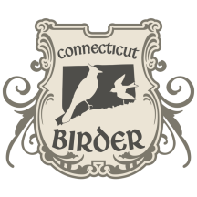 (1) Connecticut Birder