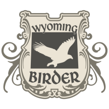 (1) Wyoming Birder