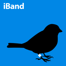 iBand
