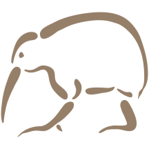 Stylized Kiwi