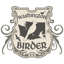 (1) Washington Birder