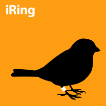 iRing