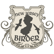 New Jersey Birder