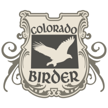 (2) Colorado Birder
