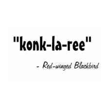 Red-winged Blackbird