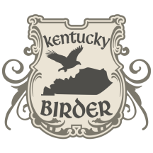 (2) Kentucky Birder
