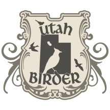 Utah Birder