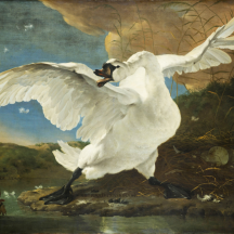 Retired: Asselijn's The Threatened Swan