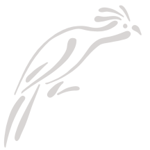 Retired: Stylized Hoatzin