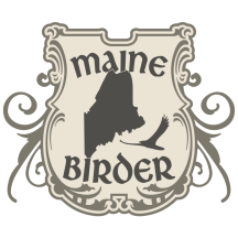 (2) Maine Birder