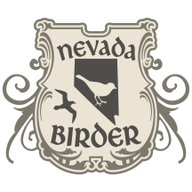 Nevada Birder