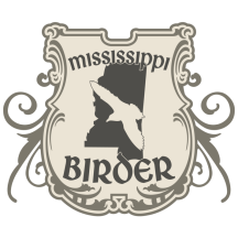 (1) Mississippi Birder