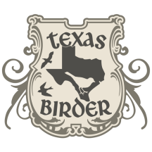 Texas Birder