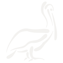 Stylized Pelican