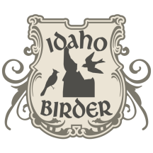 Idaho Birder