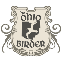 (1) Ohio Birder
