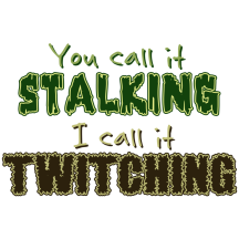 Stalking vs Twitching