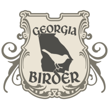 (2) Georgia Birder