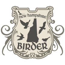 (1) New Hampshire Birder