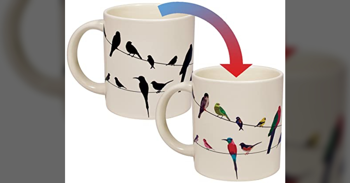 Fun Mug for Birders Transforms with Heat Birder Gifts